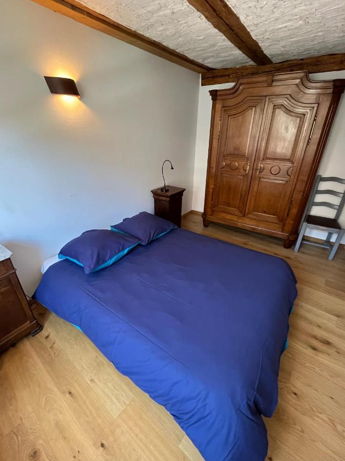 Domaine La Cour Des Nobles - Demeure, Maison Et Appartements Au Coeur De Riquewihr Eksteriør billede