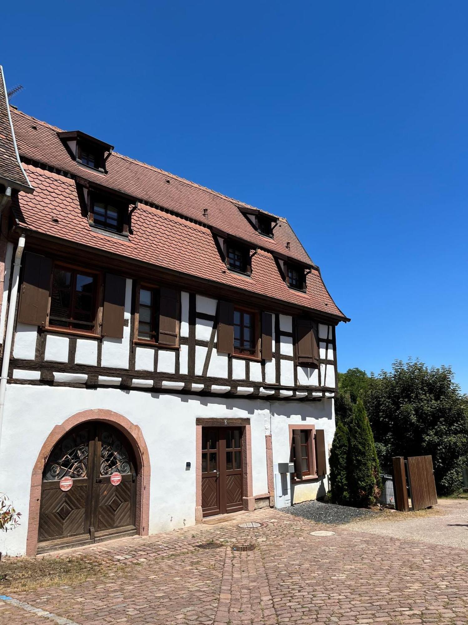 Domaine La Cour Des Nobles - Demeure, Maison Et Appartements Au Coeur De Riquewihr Værelse billede